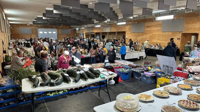 Sub - Fall fair | Meridian Source