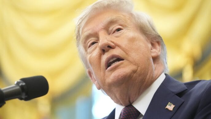 Trump says hes looking for swift Supreme Court ruling on most tariffs | Meridian Source