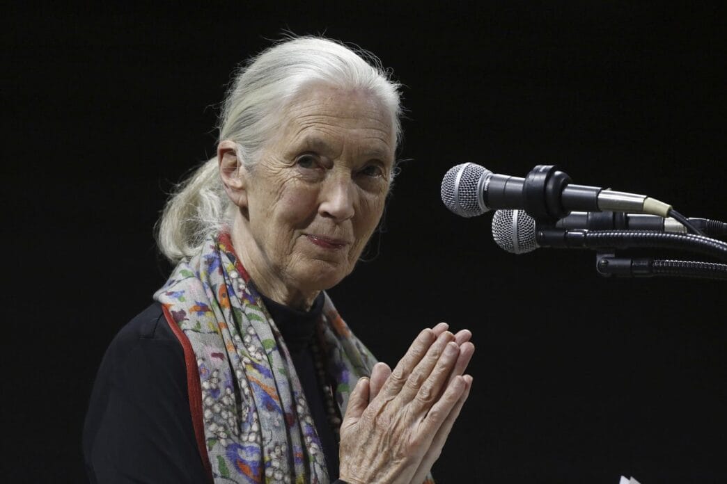 Environmentalists, politicians, celebrities recall life and influence of primatologist Jane Goodall