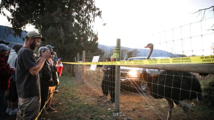 Aggregator Downloaded image for imported item 78671 | Meridian Source