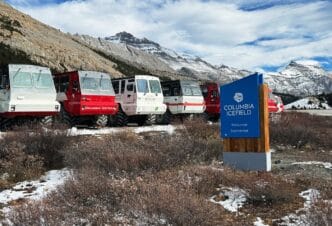 Inquiry to hear about tour bus rollover at Columbia Icefield that killed three