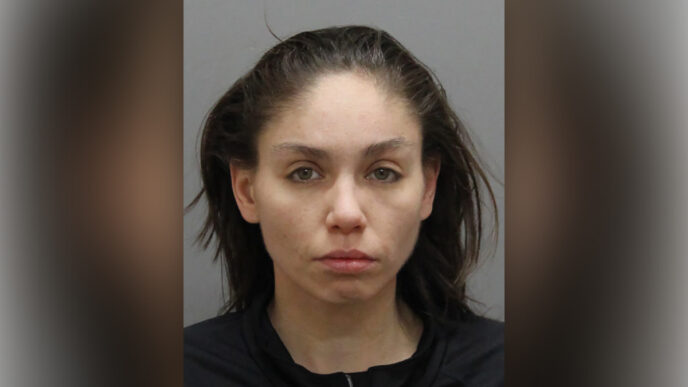 Angel BearWEB | Meridian Source