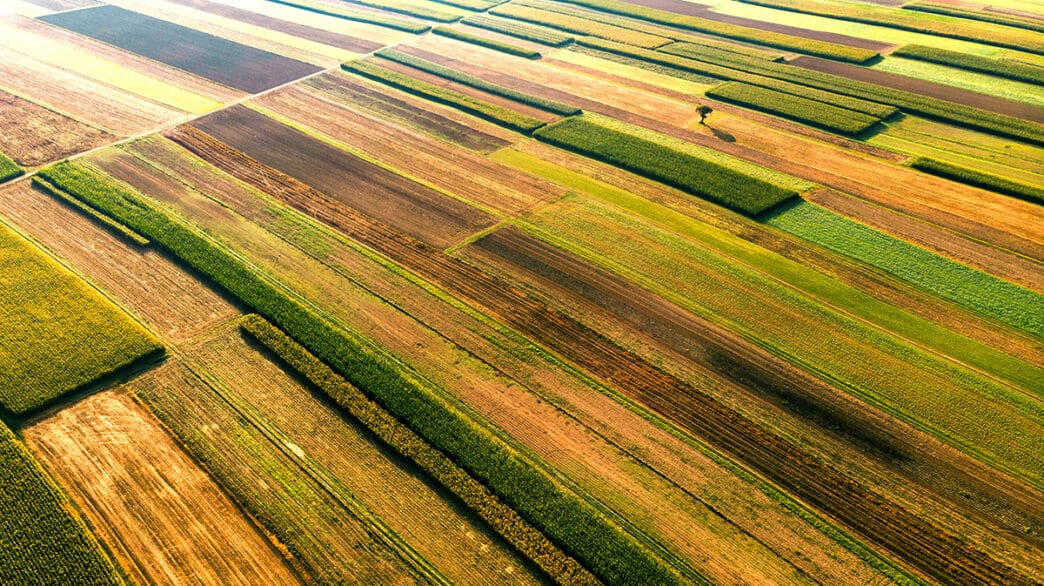 Farm Fields Cultivated in Vibrant Colors Aerial Drone View | Meridian Source