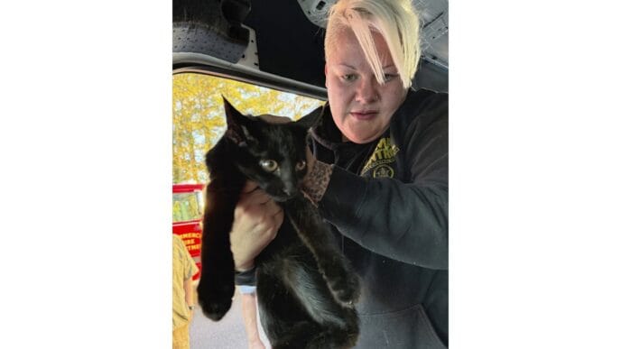 An eighth body was found at a Georgia highway crash between a semitrailer and van, official says