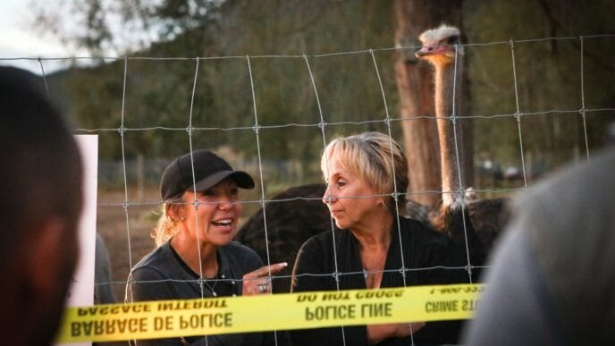 Aggregator Downloaded image for imported item 78581 | Meridian Source Ostrich farmers awaiting Supreme Court decision get little attention from Ottawa