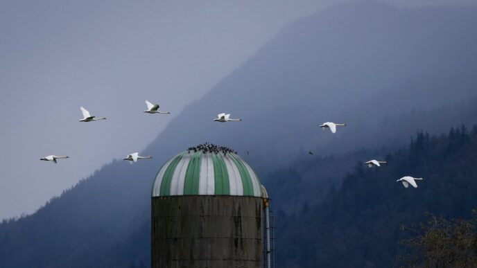 Aggregator Downloaded image for imported item 84612 | Meridian Source