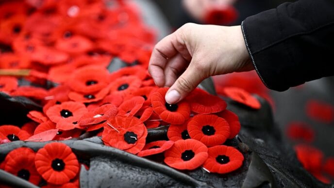 About 7 in 10 Canadians plan to mark Remembrance Day: poll