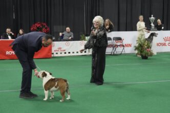 Photo Gallery: Canadian Kennel Club National Dog Show