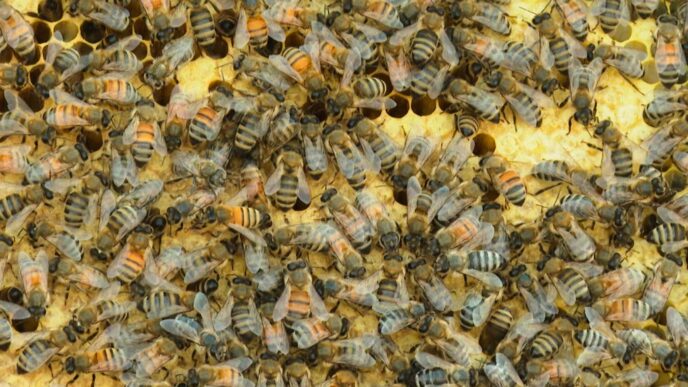 Aggregator Downloaded image for imported item 87752 | Meridian Source