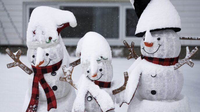 Aggregator Downloaded image for imported item 87531 | Meridian Source Northern parts of Ontario, Quebec to see winter storm arriving via the United States