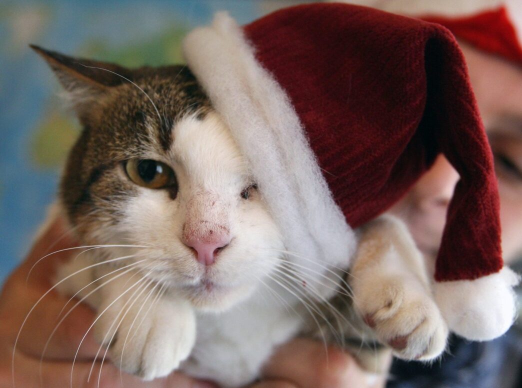 Aggregator Downloaded image for imported item 86852 | Meridian Source