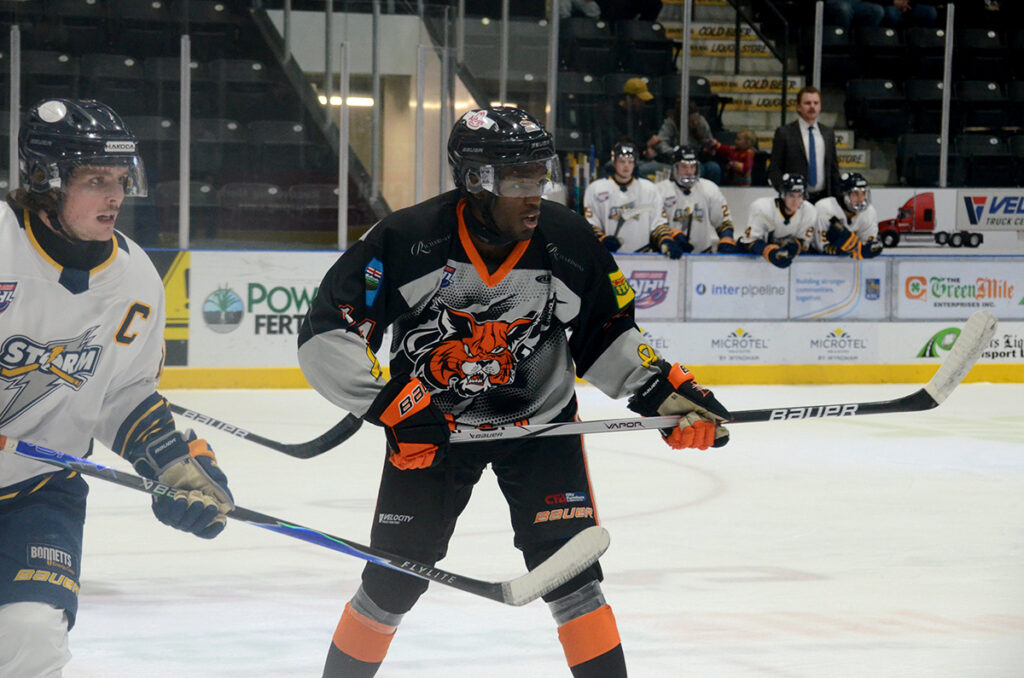 Bobcats-SUNDAYWEB | Meridian Source Bobcats