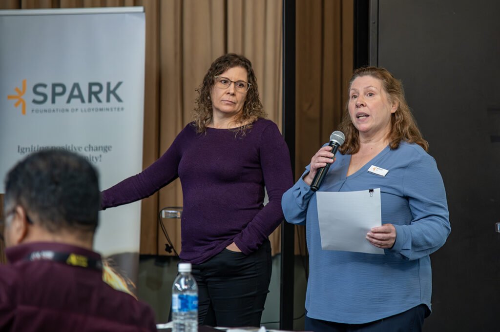 TW-SPARKDomesticViolenceLunch | Meridian Source domestic