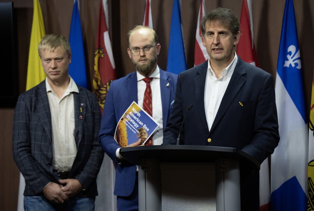 Aggregator Downloaded image for imported item 87274 | Meridian Source Beekeepers call for import ban on non-North American bees as deadly mite spreads