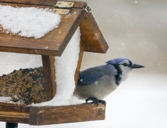 About 20 weather warnings in effect across Canada as rain, snow, cold hammer country