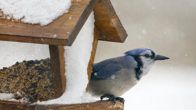 About 20 weather warnings in effect across Canada as rain, snow, cold hammer country