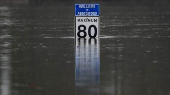 Aggregator Downloaded image for imported item 90378 | Meridian Source