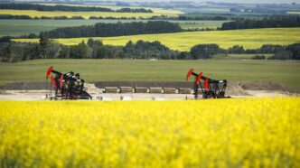 Experts urge Ottawa to seek new trading opportunities within the Western Hemisphere