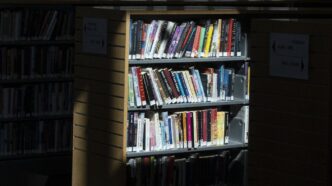 Aggregator Downloaded image for imported item 90196 | Meridian Source