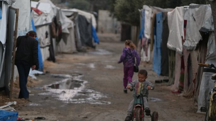 Gaza advocates urge Canada not to ignore persistent suffering amid partial ceasefire