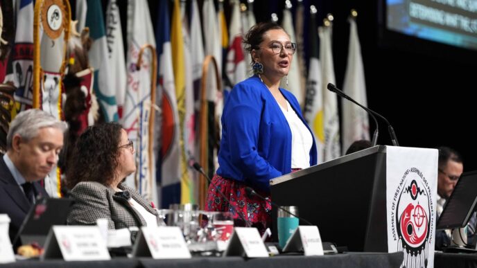 Aggregator Downloaded image for imported item 89379 | Meridian Source Gull-Masty signals go-slow approach to changing First Nations status eligibility