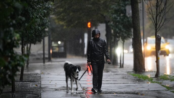 Drenching rain in southern B.C. triggers Fraser Valley state of emergency