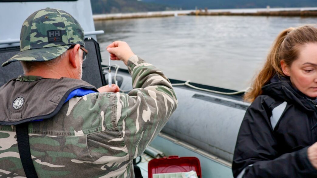 Aggregator Downloaded image for imported item 90290 | Meridian Source