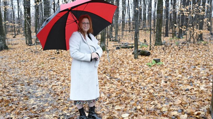 Advocates push for advance MAID requests two years after Parliament recommendation