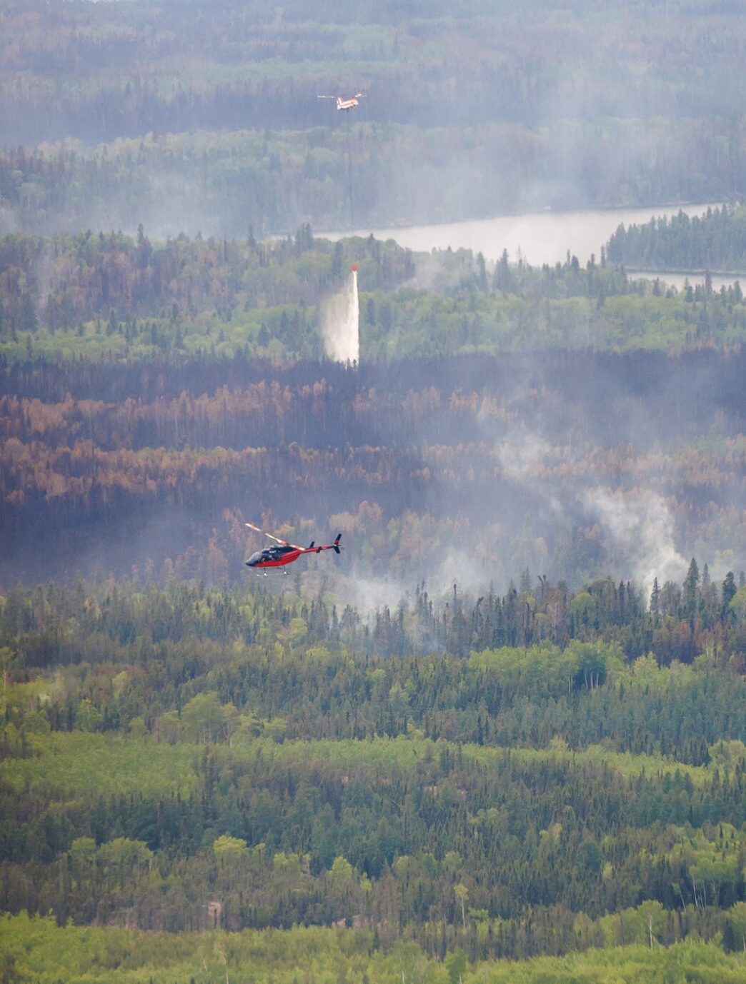 Aggregator Downloaded image for imported item 91196 | Meridian Source