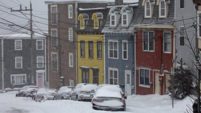 Much of N.L. under winter storm warnings as heavy snow and winds hit the coast