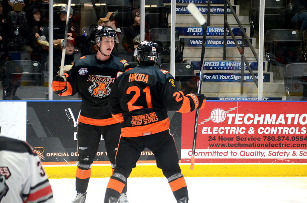 Bobcats-Teddy-Bear-goal | Meridian Source