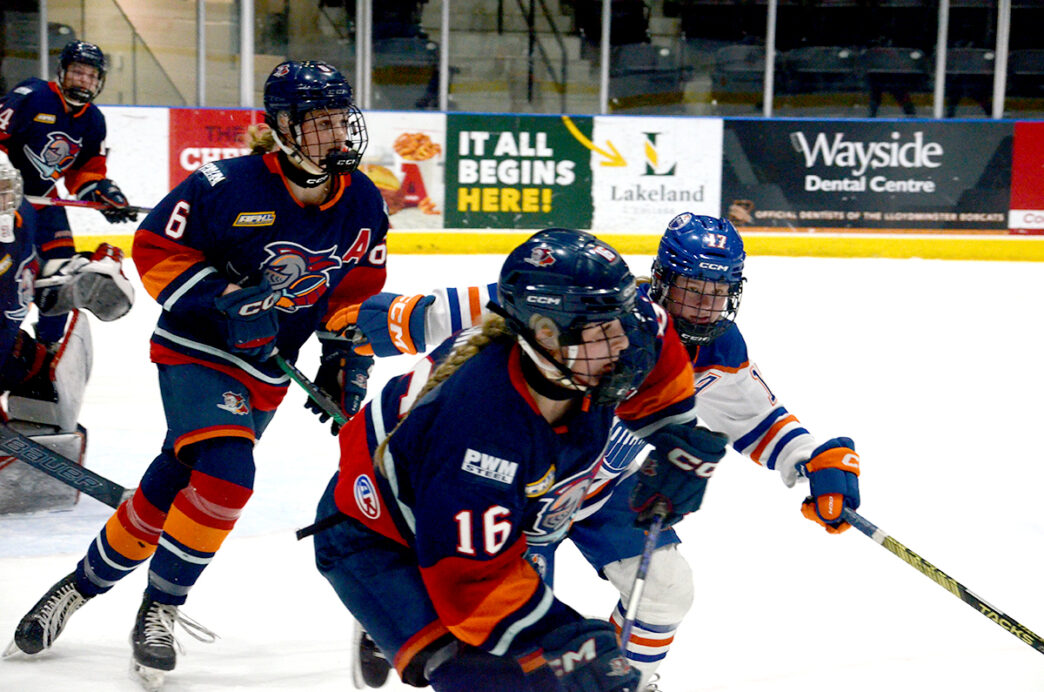 JM-Steelers-actionWEB | Meridian Source