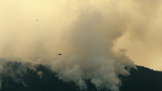 B.C. wildfire season scorched more than 8,800 square kilometres