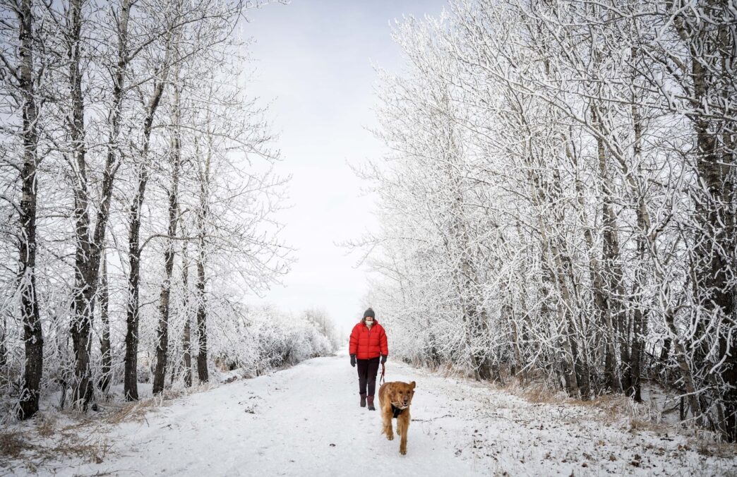 Western and Northern Canada braces for chilly, snowy Christmas