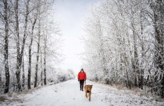 Western and Northern Canada braces for chilly, snowy Christmas
