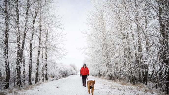 Western and Northern Canada braces for chilly, snowy Christmas