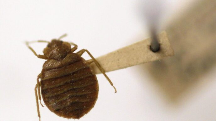 Hundreds of pests found in federal buildings as feds draft back-to-office plan