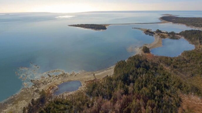 Aggregator Downloaded image for imported item 90402 | Meridian Source Whale sanctuary project in N.S. needs $15 million to open by end of summer