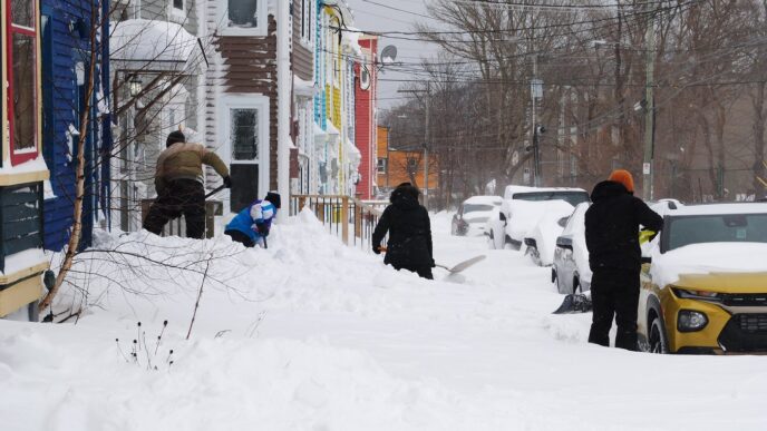 More snow and strong winds expected in Newfoundland Friday and overnight