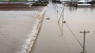 Aggregator Downloaded image for imported item 90199 | Meridian Source In the news: B.C. flooding continues, another Conservative crosses the floor