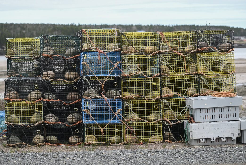 Aggregator Downloaded image for imported item 94640 | Meridian Source Nova Scotia lobster industry surprised, elated by suspension of Chinese tariff