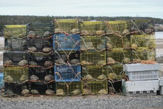 Nova Scotia lobster industry surprised, elated by suspension of Chinese tariff