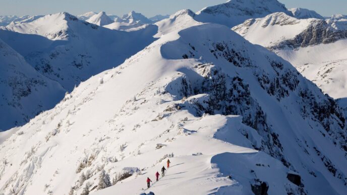 Snowmobiler dies in avalanche in Rocky Mountains in northeastern B.C.