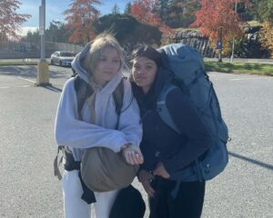 Dingoes not likely to have killed Canadian found dead on Australia beach: autopsy