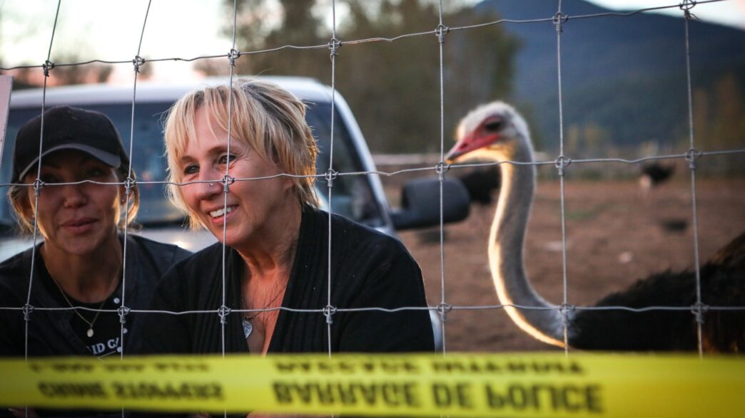 Tribunal upholds $10K fine for B.C. ostrich farm over failure to report sick birds