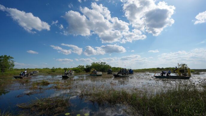 House refuses to override Trump vetoes as Republicans stick with president
