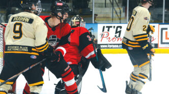 BanditsWEB | Meridian Source