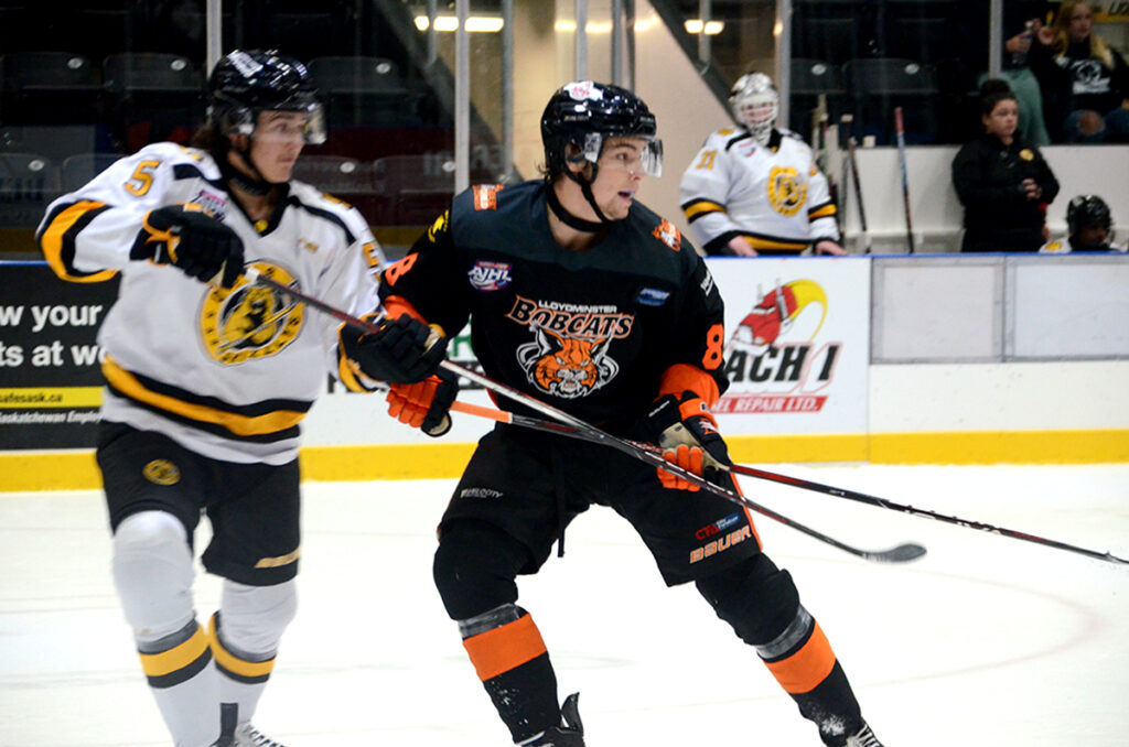 JM-Bobcats-Hackman | Meridian Source Bobcats