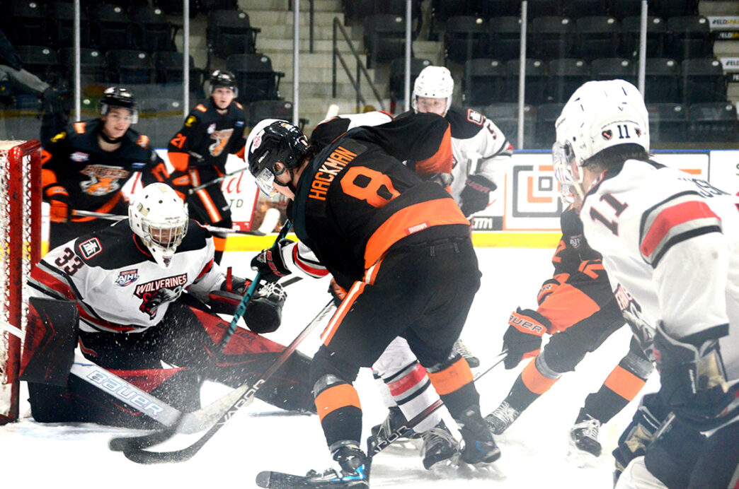 JM-Bobcats-WolverinesWEB | Meridian Source