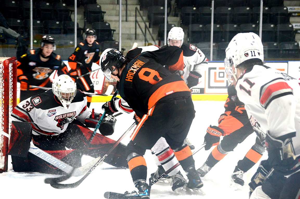 Bobcats weather Northern exposure in new year